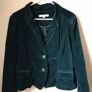 Ann Taylor LOFT jacket